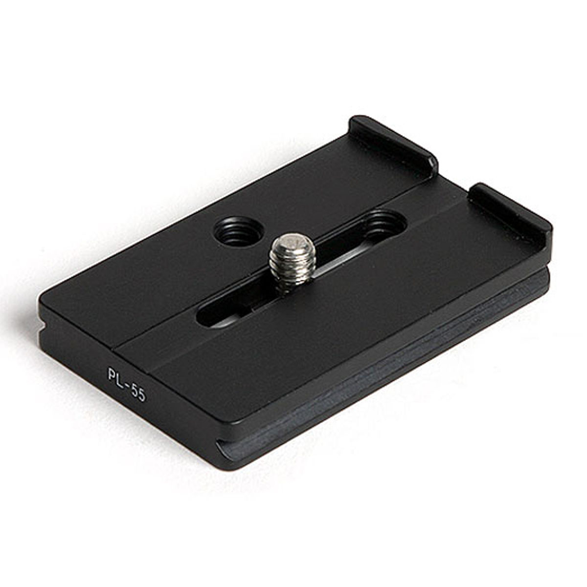 PL-55 01.jpg